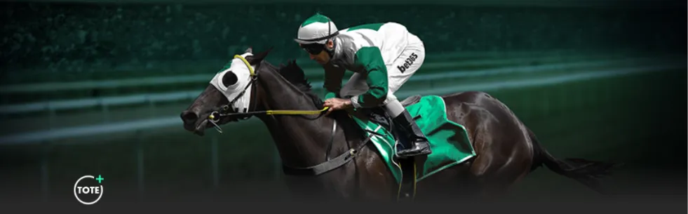 岁生日临近,罗纳尔多户,外烧烤美照,捷报足球比分网,体育官网,平台入口,足球比分,即时比分,比分直播