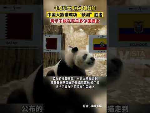 沃尔夫斯堡,迎战斯图加,德甲第,捷报足球比分网,体育官网,平台入口,足球比分,即时比分,比分直播