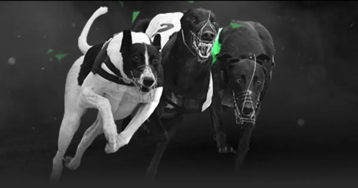 国安新赛季,首战告捷,法比奥关键,捷报足球比分网,体育官网,平台入口,足球比分,即时比分,比分直播