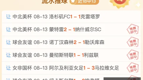 库明加若达阿隆戈登效能，森林狼实力升级指南